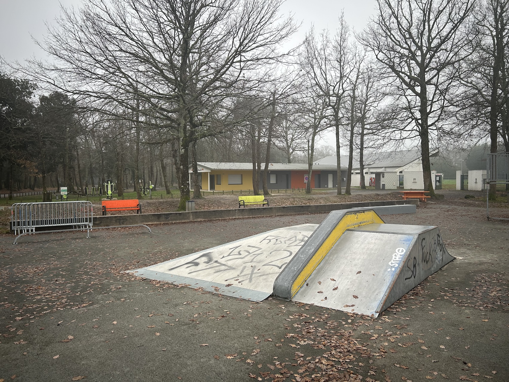 Étaules skatepark